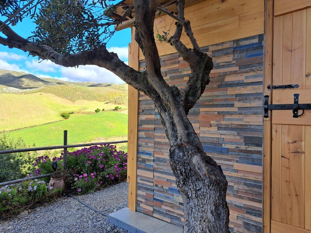 Wooden House At The Mountain-Private Pensionat Paránimfoi Exteriör bild